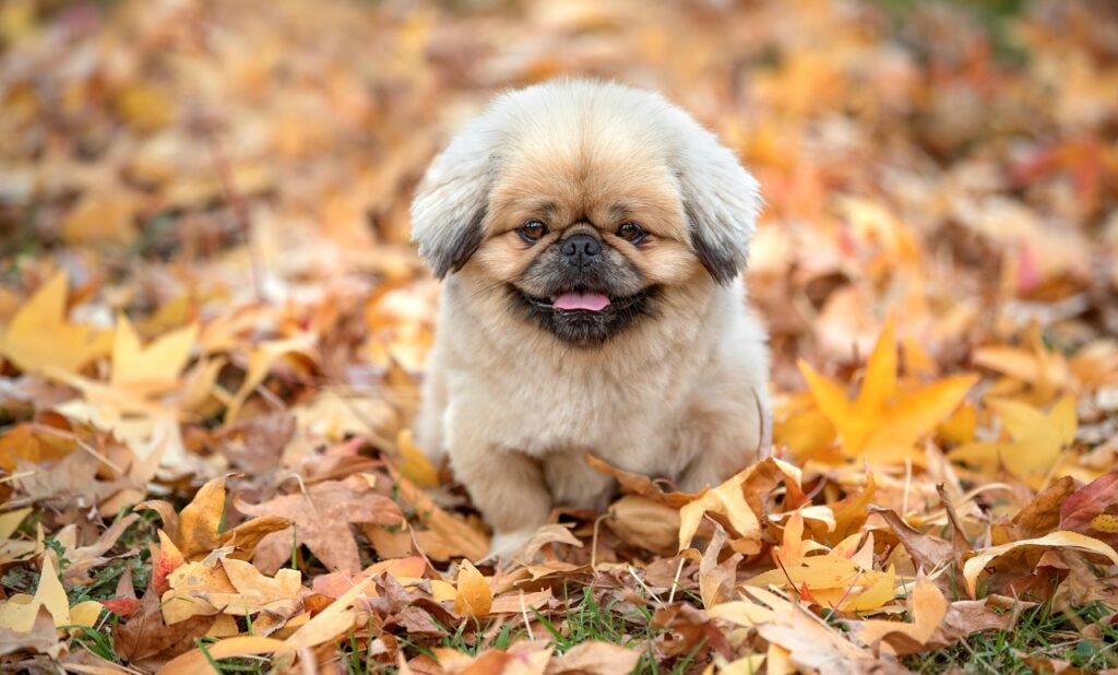 サブスクファッションの魅力とおすすめサービスは？