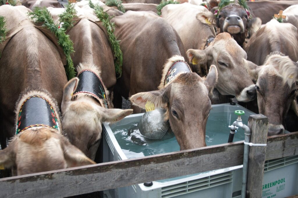 tsutayaで返却忘れた場合の連絡方法は？