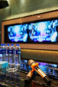 衣装レンタルで楽しむカラオケイベントのおすすめは？