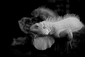 ベビー服のサブスク利用で得られるメリットとは？