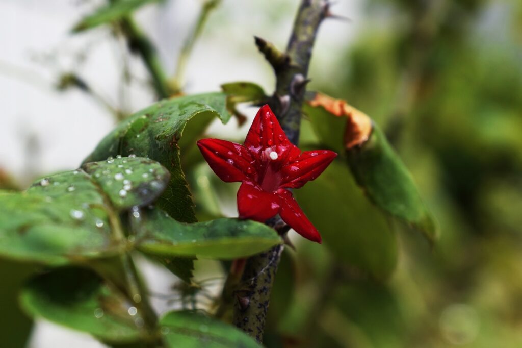 TSUTAYAの返却時間は何時まで？