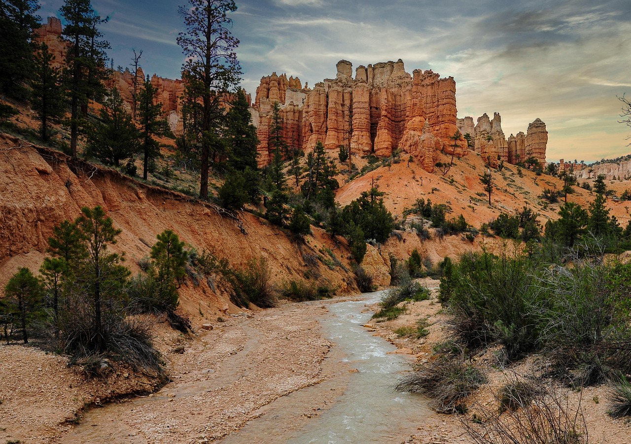 購入とレンタル、どちらがあなたにとって最適な選択肢ですか？
